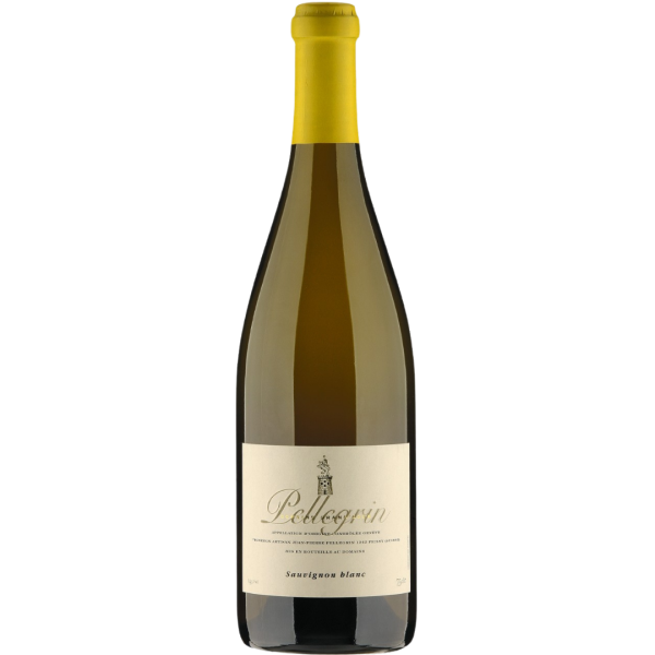 Sauvignon Blanc - J-P Pellegrin - Domaine Grand'Cour